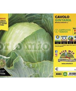 Cavolo cappuccio Tondo invernale “Gintama F1”