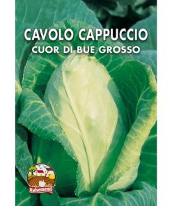 Cavolo cappuccio a cuore di bue grande (Semente)