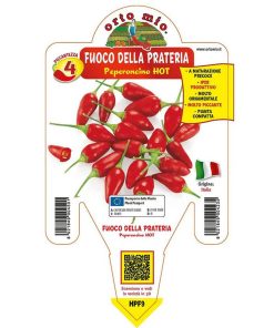 Peperoncino piccante “Fuoco della prateria”