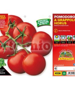 Pomodoro tondo a grappolo “Horus F1”